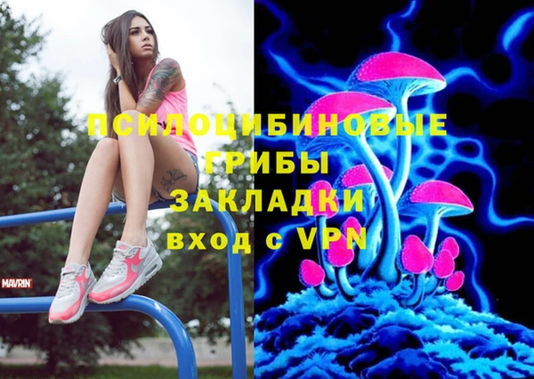 прущая мука Верея