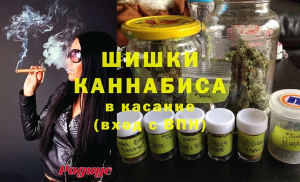 стафф Богородицк