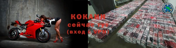 стаф Снежногорск