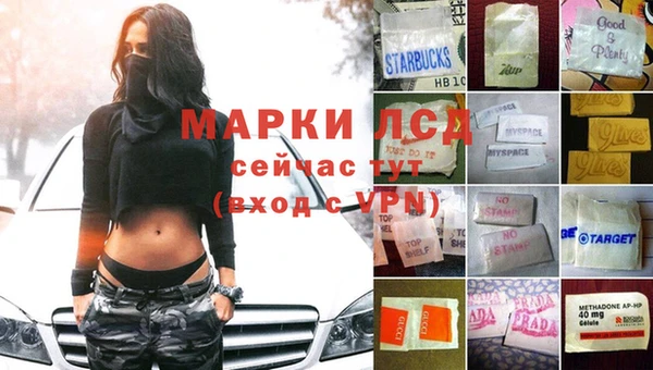 стафф Богородицк