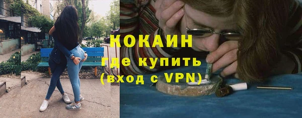 прущие грибы Бронницы
