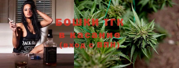 стафф Богородицк