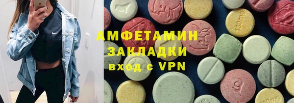 прущие грибы Бронницы