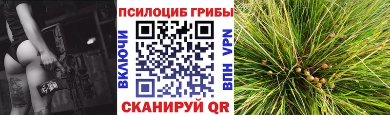 Псилоцибиновые грибы мухоморы  Донецк 